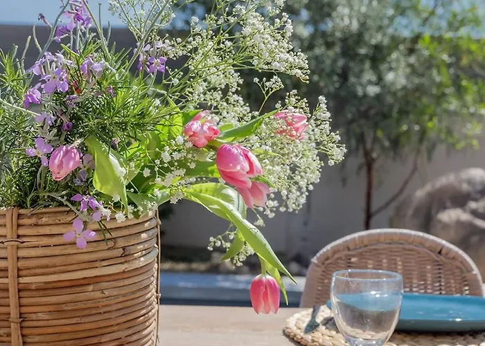 3 Avec Piscine Privative * Porto-Vecchio (Corsica)